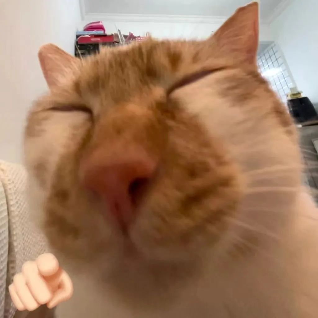 DƬ